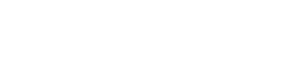 Northeastern Online